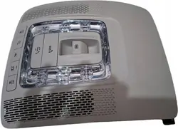 Mercedes GLE W167 Plafondlamp Paneel A0009007021 OE