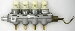Faixa GPL Elpigaz OEM 67r016512 - Usado