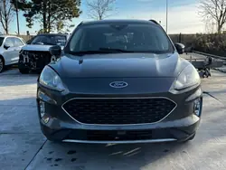 Etupuskuri, Konepeite, Lokasuojat, Valot Ford Escape MK4
