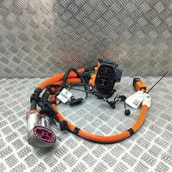 Cavo di ricarica batteria Mercedes-Benz EQE A2955406516
