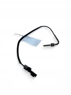 Sensor de temperatura de escape Mercedes-Benz GLS X166 2019 A0009058604
