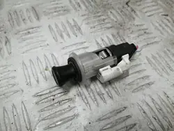 Enchufe encendedor OEM FRE54937 para Citroen