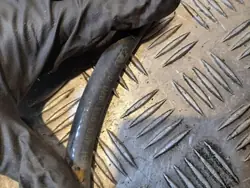 Manguera lavaparabrisas Audi A6 C6 OEM 4F0955970G - Usado
