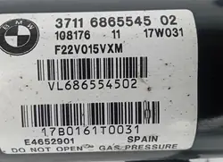 Amortisseur Avant Gauche BMW F20 F22 F23 6865545