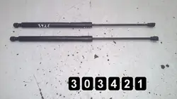 OEM AM-303421 Heckklappenstützen für Peugeot 308