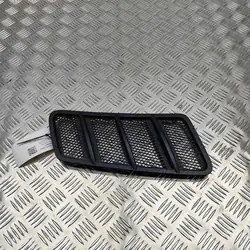 Mercedes-Benz GLE W166 Jäähdyttimenritilä OEM A1668801505