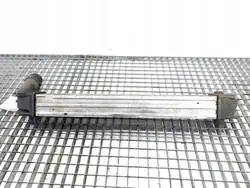 OEM 144961285R Intercooler voor Renault Megane III 1.5