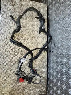 Pluspoolkabel OEM 9841129080 voor Peugeot