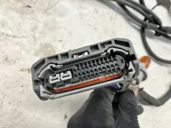 Conector farol esquerdo OYT26219 para Prius IV