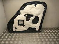 Garniture Portière Arrière Gauche BMW i4 2024 OEM 40123941