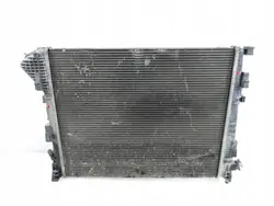 Renault OE 8200411166D Radiador de agua