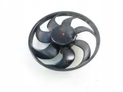 Ventilador radiador Ford S-MAX II 2.0 TDCi