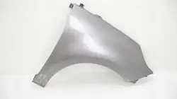 Aleta delantera derecha OEM 360209525 para Renault Scenic III