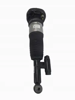 Amortisseur Arrière Gauche OEM 755A1DBC701 BMW 7 G12