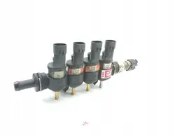Riel de inyección GLP BRC OEM 09SQ99020026 67R-010185