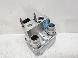 Válvula de expansão A/C Peugeot 208 2020 OEM 9831600480