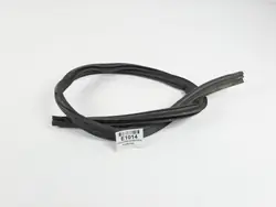 OEM Windschutzscheibendichtung Renault Laguna III 07-13 Coupé