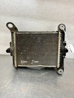 Radiador de agua adicional BMW F20 F30