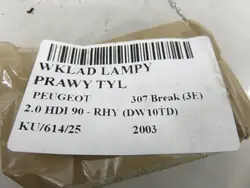 Inserção Farol Traseiro Direito OEM 89026938 Peugeot 307
