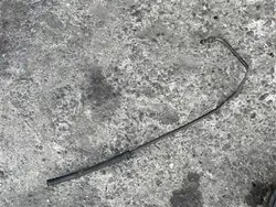 Power Steering Hose Ssangyong Rexton 2.7 XDI 01-06