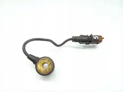 Sensor de Golpeteo Vauxhall Mokka 1.6 Gasolina 55567128