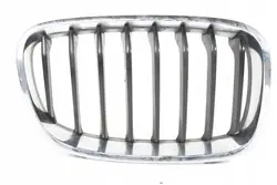 BMW F20 F21 Right Grill Insert 7239022