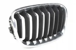 Insert di Griglia Destro BMW F20 F21 7239022
