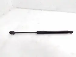 Tesla Motorhauben-Aktuator OEM 164598900A links 2022