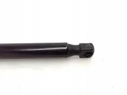 Actionneur de capot Tesla OEM 164598900A gauche 2022