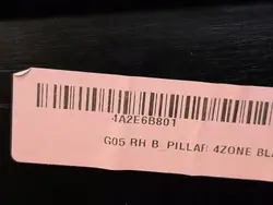 Cubierta Pilar B Derecho BMW X7 G07 OEM 7496418