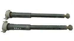 Amortiguador Trasero Set OEM A2073203830 Mercedes