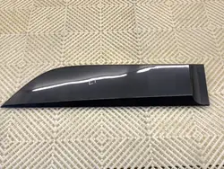 OEM 828770009R Moldura Puerta Trasera Izquierda Renault