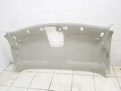 OEM 739010101R Plafonnier pour Renault Master III/IV