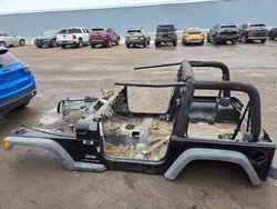 Painel lateral Jeep Wrangler TJ 96-06 PX8 OEM