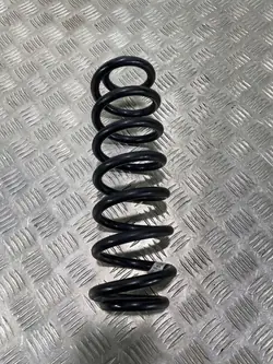 Mola traseira Cupra Formentor OEM FBZ20612
