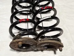 Muelles Suspensión Trasera OEM 86484 para VW Passat B6