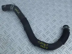 NISSAN JUKE PULSAR 1.2 DIG-T ROHR 423tsagdgV2