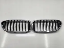 Front Bumper Kidney Grille for BMW 5 G30 G31 17- L+P Set