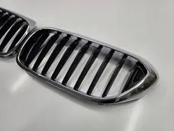 Front Bumper Kidney Grille for BMW 5 G30 G31 17- L+P Set