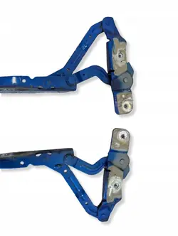 Ford OE CN1516800CC/CN1516801CC Paire de Charnières Capot