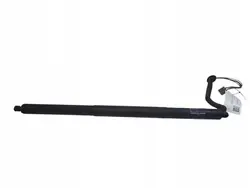 Muelle de gas maletero izquierdo Tesla OEM 600661000C