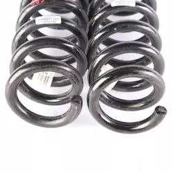 Conjunto Molas Suspensão Traseira BMW F31 OEM 6851728