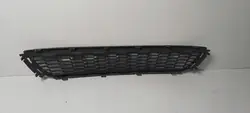 Volkswagen OE Frontstoßstangengitter, Polo 6R