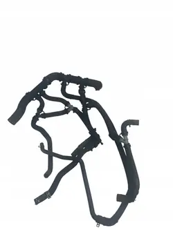 Cooling System Hose Renault SCENIC III 3 OE