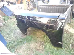 OEM 68406788AA Tapis de benne court pour RAMBOX Dodge Ram 1500