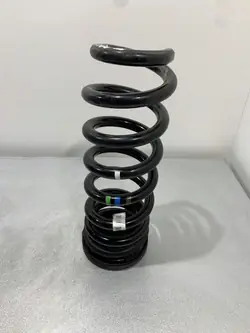 Jaguar Hinterfeder OEM FBZ19090 - Gebraucht