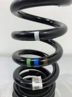 Mola Traseira Jaguar OEM FBZ19090 - Usado