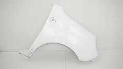 Vorderer rechter Kotflügel OEM 360196450 für Renault Kangoo II