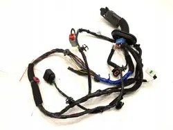 Voorste rechter deurharnas Hyundai Kona 1.0 120PK OEM