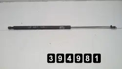 OEM AM-394981 Bagageluckgångjärnsstöd för Lexus IS 220